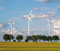 Kleiner Windpark mit Allee