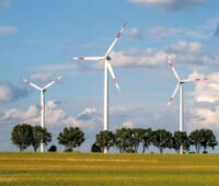 Drei Windenergieanlagen hinter einer Allee, die den Horizont bildet.