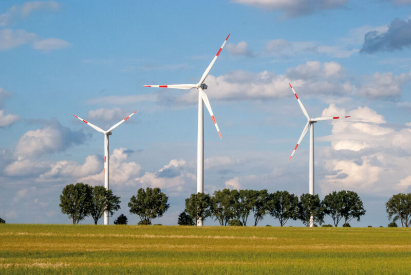 Drei Windenergieanlagen hinter einer Allee, die den Horizont bildet.