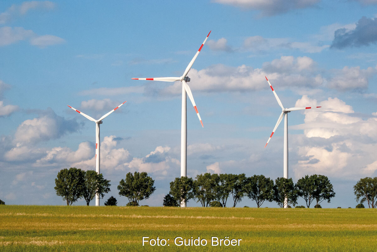 Windenergieanlage hinter einer Baumreihe bzw. Allee in Mecklenburg-Vorpommern
