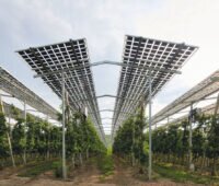 Agri-PV-Anlage hoch aufgeständert, wie sie ab dem EEG 2023 Bonusförderungen erhalten kann.