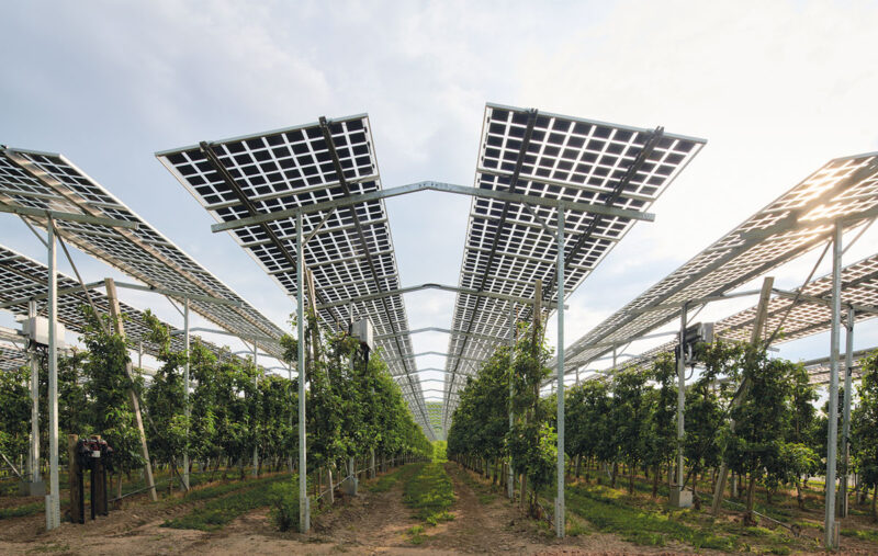 Agri-PV-Anlage hoch aufgeständert, wie sie ab dem EEG 2023 Bonusförderungen erhalten kann.