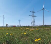 Zwei Elemente überragenden öffentlichen Interesses: Strommasten und Windräder auf einer Wiese mit Löwenzahn