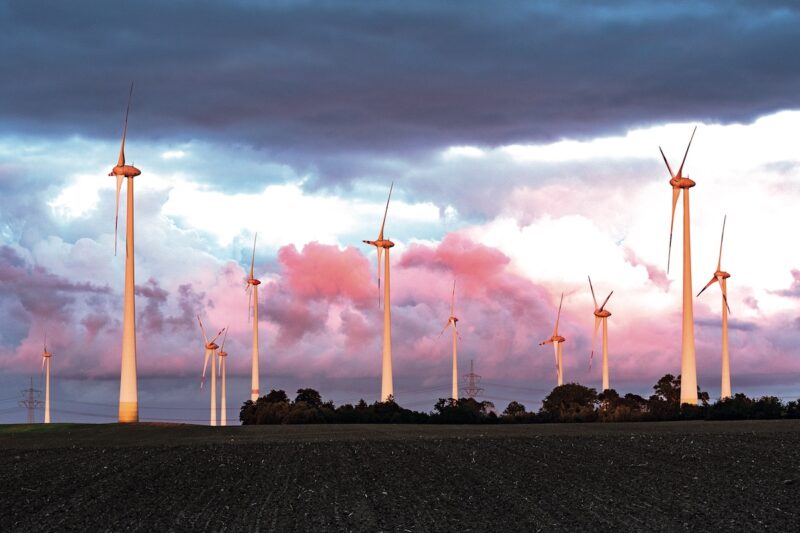Ein Windpark im Abendlicht.