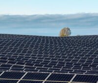 Blick über ein große Photovoltaik-Freiflächenanlage, im Hintergrund ein Baum, blauer Himmel und der Rand eines Wolkenbandes