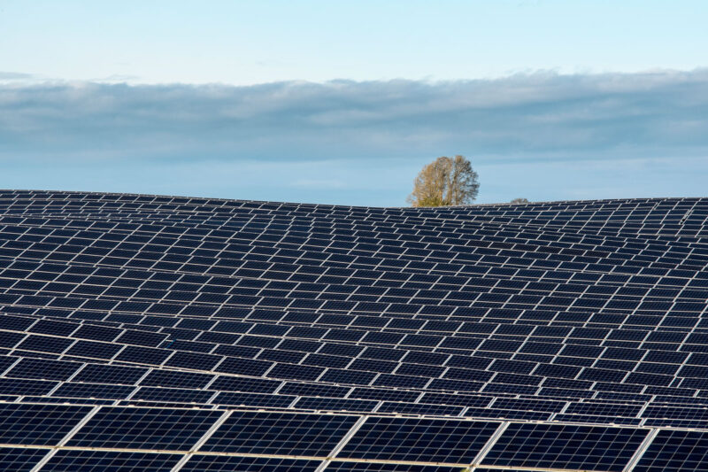 Blick über ein große Photovoltaik-Freiflächenanlage, im Hintergrund ein Baum, blauer Himmel und der Rand eines Wolkenbandes