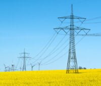 Strommast und Hochspannungsleitung in einem blühenden Rapsfeld