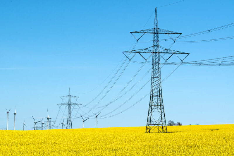 Strommast und Hochspannungsleitung in einem blühenden Rapsfeld