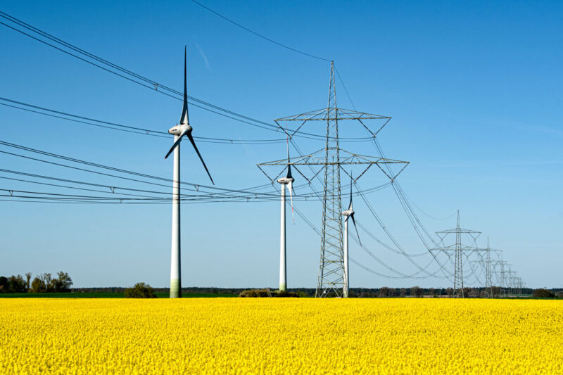 Drei Windenergieanlagen hinter einer Hochspannungs-Stromleitung auf einem großen Rapsfeld.