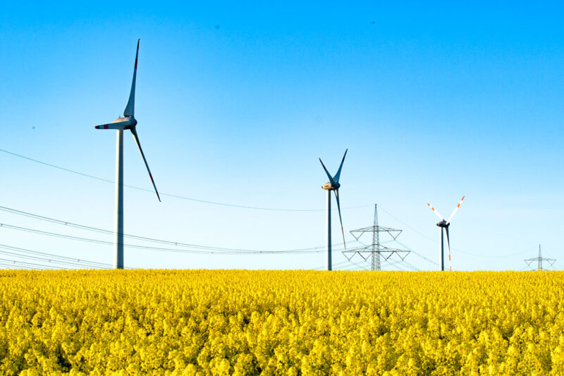 Winkraftanlagen hinter einer Hochspannungs-Stromleitung in einem Rapsfeld bei Sonnenschein.