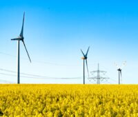 Winkraftanlagen hinter einer Hochspannungs-Stromleitung in einem Rapsfeld