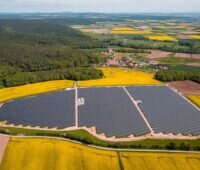 Luftaufnahme einer Freiflächen-PV-Anlage umgeben von gelben Feldern.