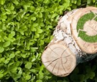 Die energetische Nutzung von Holzbiomasse muss nach Ansicht von AGFW und FVH weiterhin voll als erneuerbare Energie anrechenbar und förderfähig bleiben.