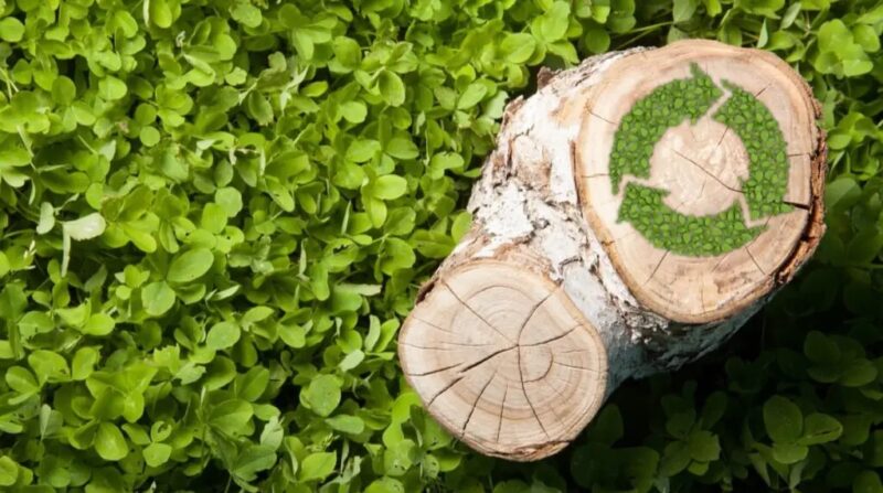 Die energetische Nutzung von Holzbiomasse muss nach Ansicht von AGFW und FVH weiterhin voll als erneuerbare Energie anrechenbar und förderfähig bleiben.
