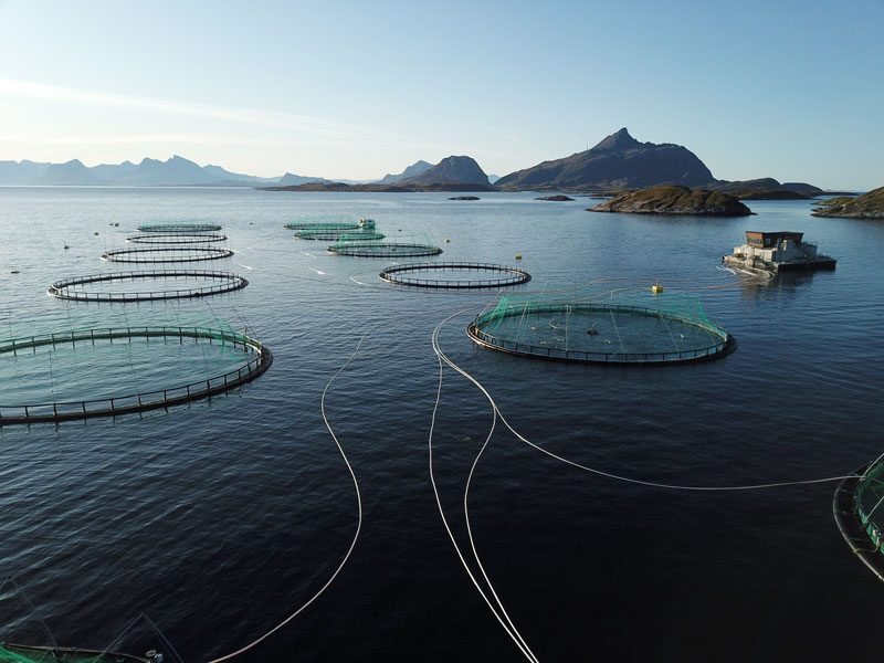 Lachsfarm in Norwegen