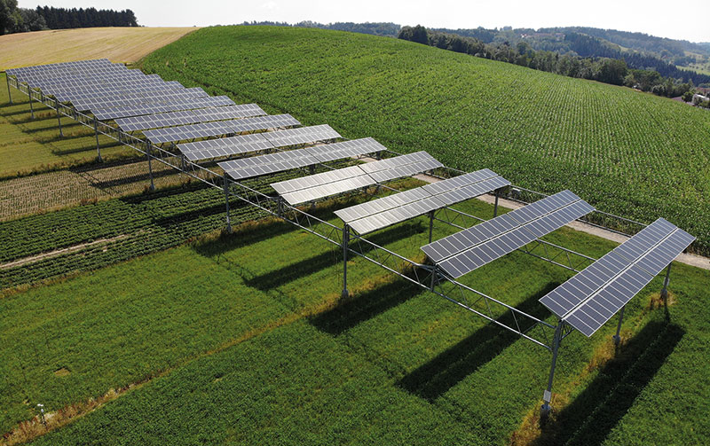 Auf einen hügelig ansteigenden Feld ist eine aufgeständerte PV-Anlage zu sehen.