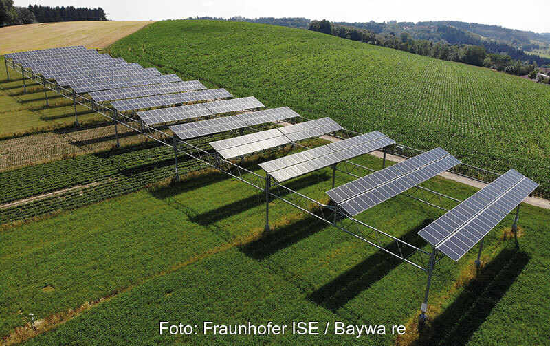 Auf einen hügelig ansteigenden Feld ist eine aufgeständerte PV-Anlage zu sehen.