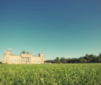 Eine grüne Wiese; im Hintergrund ist unscharf das Reichstagsgebäude zu sehen;
