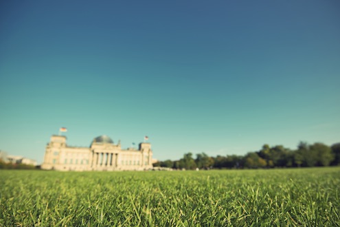 Eine grüne Wiese; im Hintergrund ist unscharf das Reichstagsgebäude zu sehen;