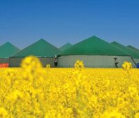 Eine Biogasanlage mit gelb blühendem Rapsfeld im Vordergrund, die Bundesnetzagentur hat die Höchstwerte 2026 für Ausschreibungen von Biomasse- und Biomethananlagen festgelegt. Foto: Stephan Leyk / stock.adobe.com