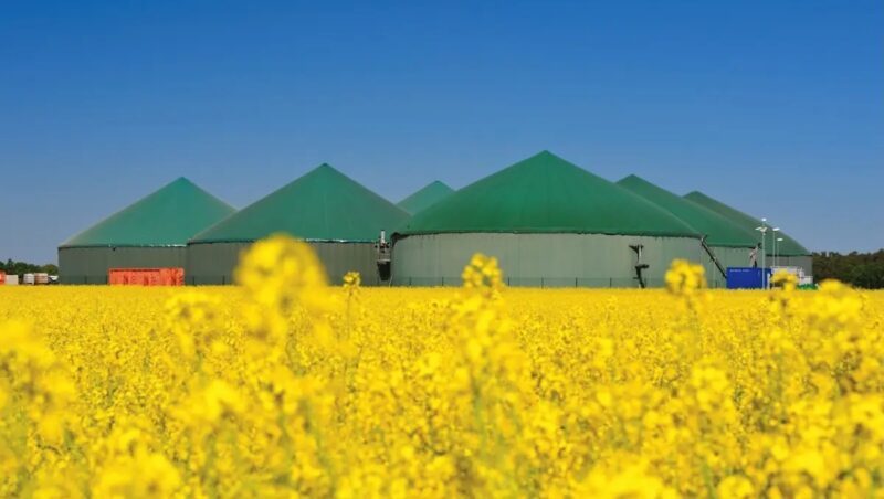 Eine Biogasanlage mit gelb blühendem Rapsfeld im Vordergrund, die Bundesnetzagentur hat die Höchstwerte 2026 für Ausschreibungen von Biomasse- und Biomethananlagen festgelegt. Foto: Stephan Leyk / stock.adobe.com