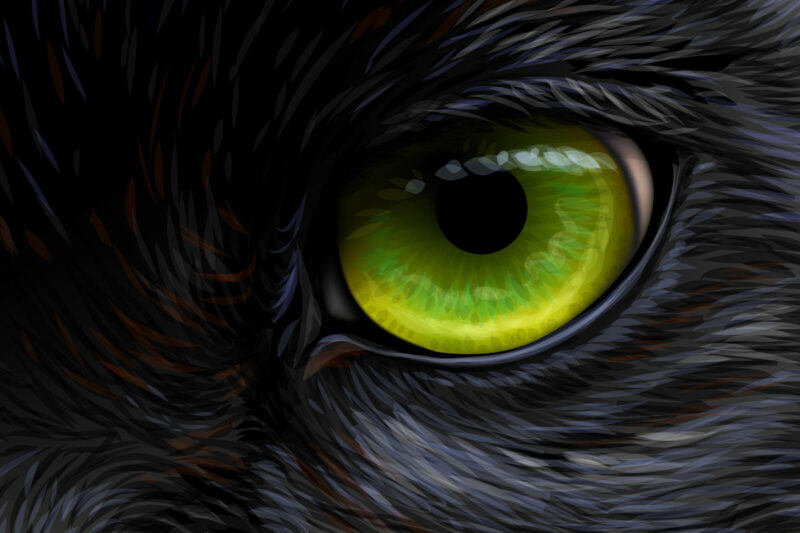 Symbolbild für Schwarz-grün: Grünes Auge in schwarzem Fell