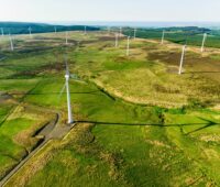 Luftbild eines Windparks im Flachland