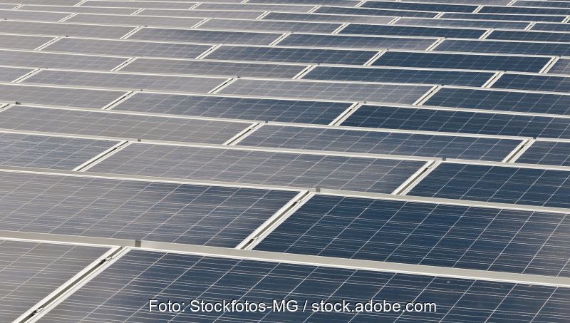 Eine große Fläche von Solarmodulen.