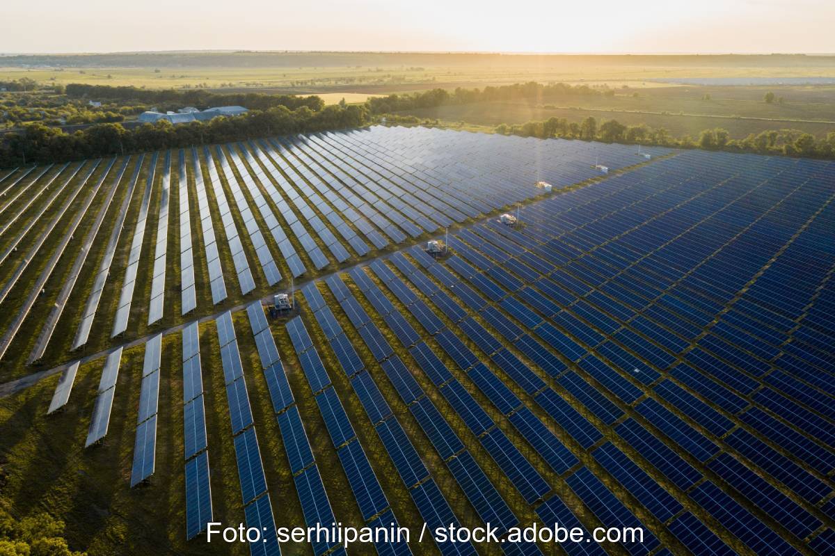 Luftbild eines Freiflächensolarparks bei tief stehender Sonne