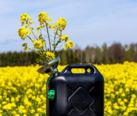 Kanister mit Rapsblüten vor Rapsfeld - Symbol für Biodiesel, Biokraftstoffe, Bioenergie
