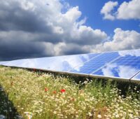 Freiflächen-Photovoltaikanlage mit Wolkenspiegelung und Blühpflanzen zwischen den Modulreihen als Beispiel für umweltschonenden Solarausbau.