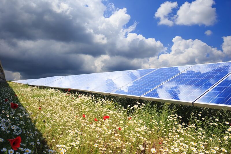 Freiflächen-Photovoltaikanlage mit Wolkenspiegelung und Blühpflanzen zwischen den Modulreihen als Beispiel für umweltschonenden Solarausbau.