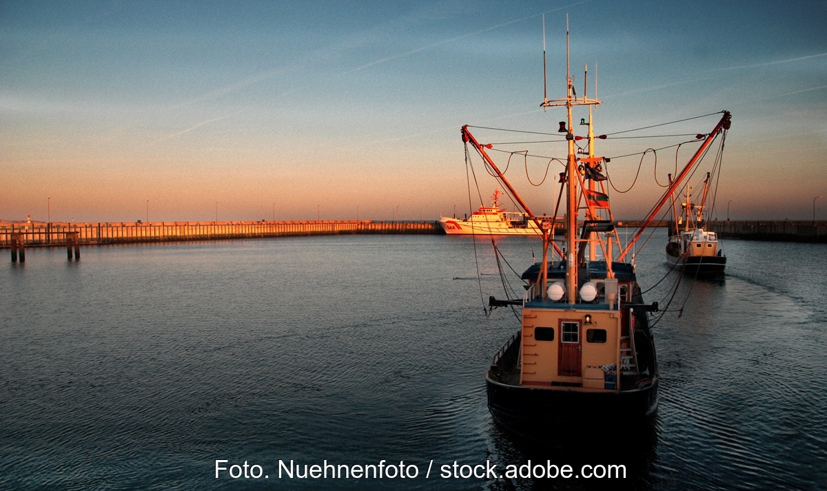 Ein Fischkutter vor Helgoland, das Bundesministerium für Landwirtschaft, Ernährung und Heimat (BMLEH) fördert die Entwicklung eines klimaneutralen Nordsee-Fischkutters.