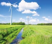 Eine Wiese und blauer Himmel - vorn und weiter hinten Windenergieanlagen.