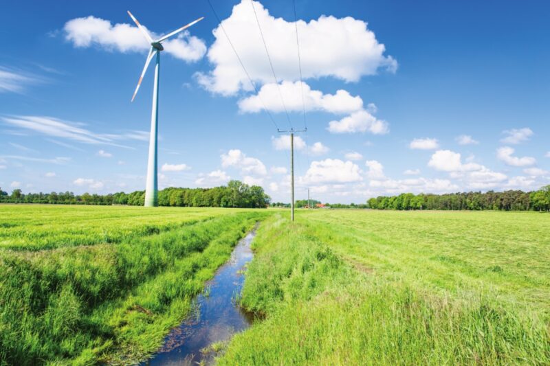 Eine Wiese und blauer Himmel - vorn und weiter hinten Windenergieanlagen.