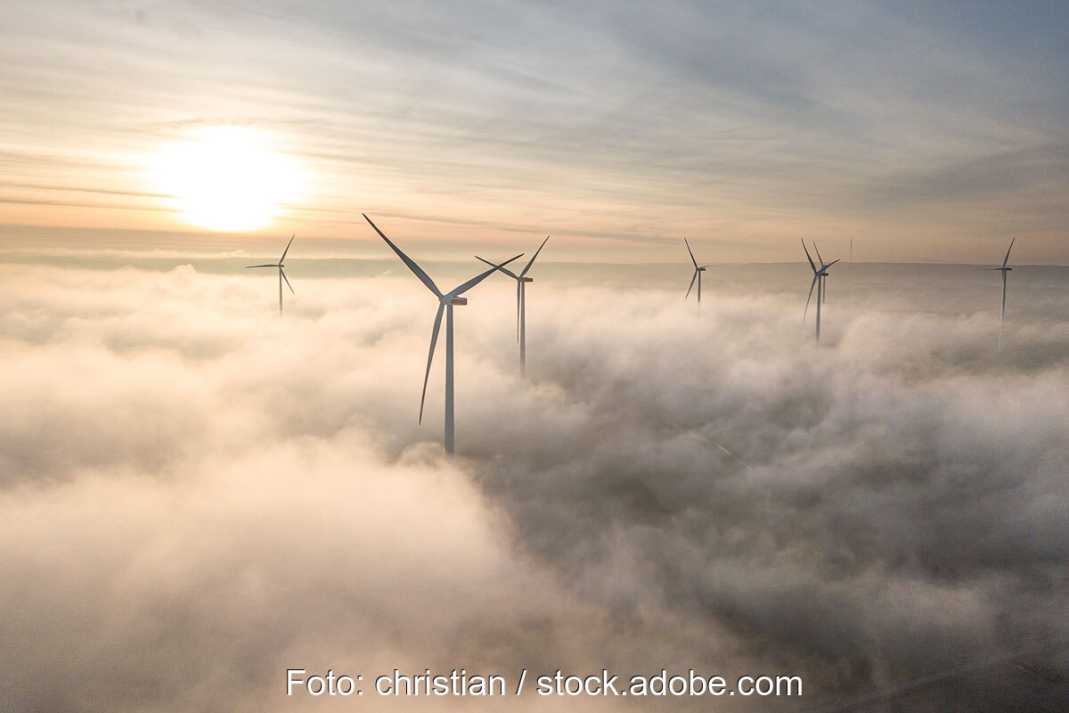 Habecks Sommerpaket: Mehr Fläche für Windenergie – Solarserver