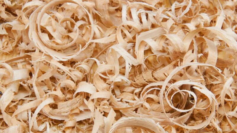 Ein Haufen Sägespäne, die Holzindustrie benötigt für die stoffliche Verwertung von Holz weniger Mengen als in Deutschland anfallen, daher sind Einschränkungen für die Holzenergie im EEG überflüssig.