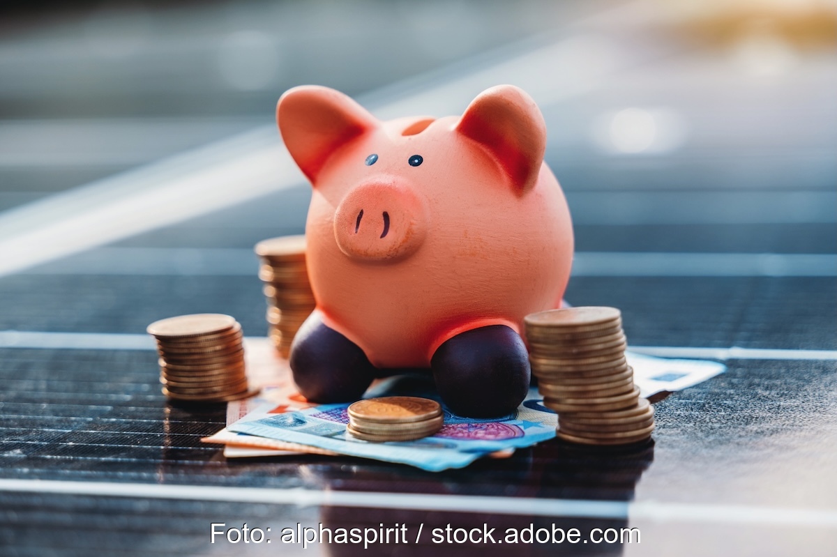 Ein Sparschwein steht auf Geldscheinen, die auf einem PV-Modul liegen - Symbolbild für Finanzierung von Photovoltaikanlagen