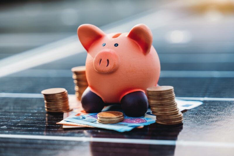 Ein Sparschwein steht auf Geldscheinen, die auf einem PV-Modul liegen - Symbolbild für Finanzierung von Photovoltaikanlagen
