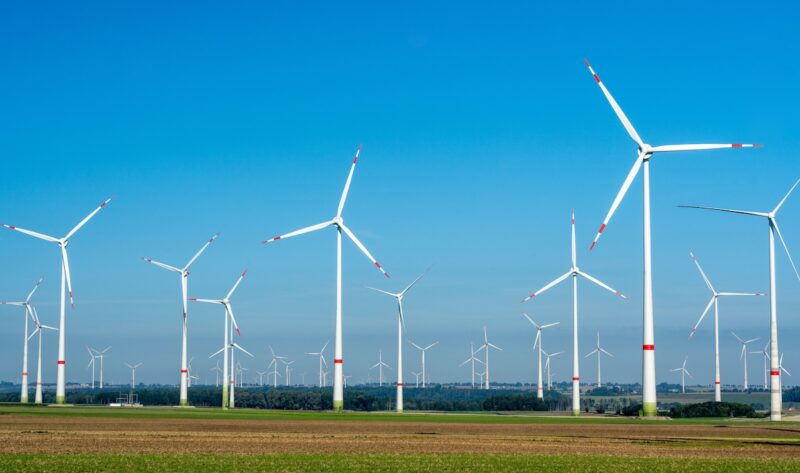Eine Reihe von Windkraftanlagen auf Feldern vor einem blauen Himmel.