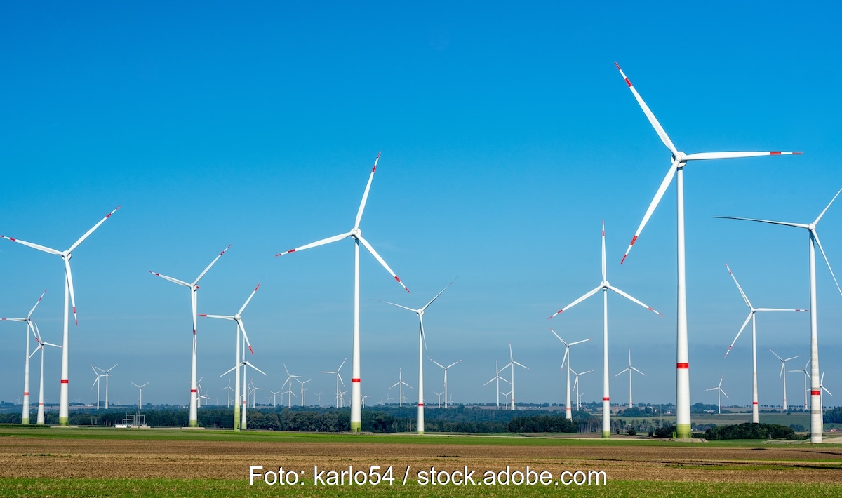 Eine Reihe von Windkraftanlagen auf Feldern vor einem blauen Himmel.