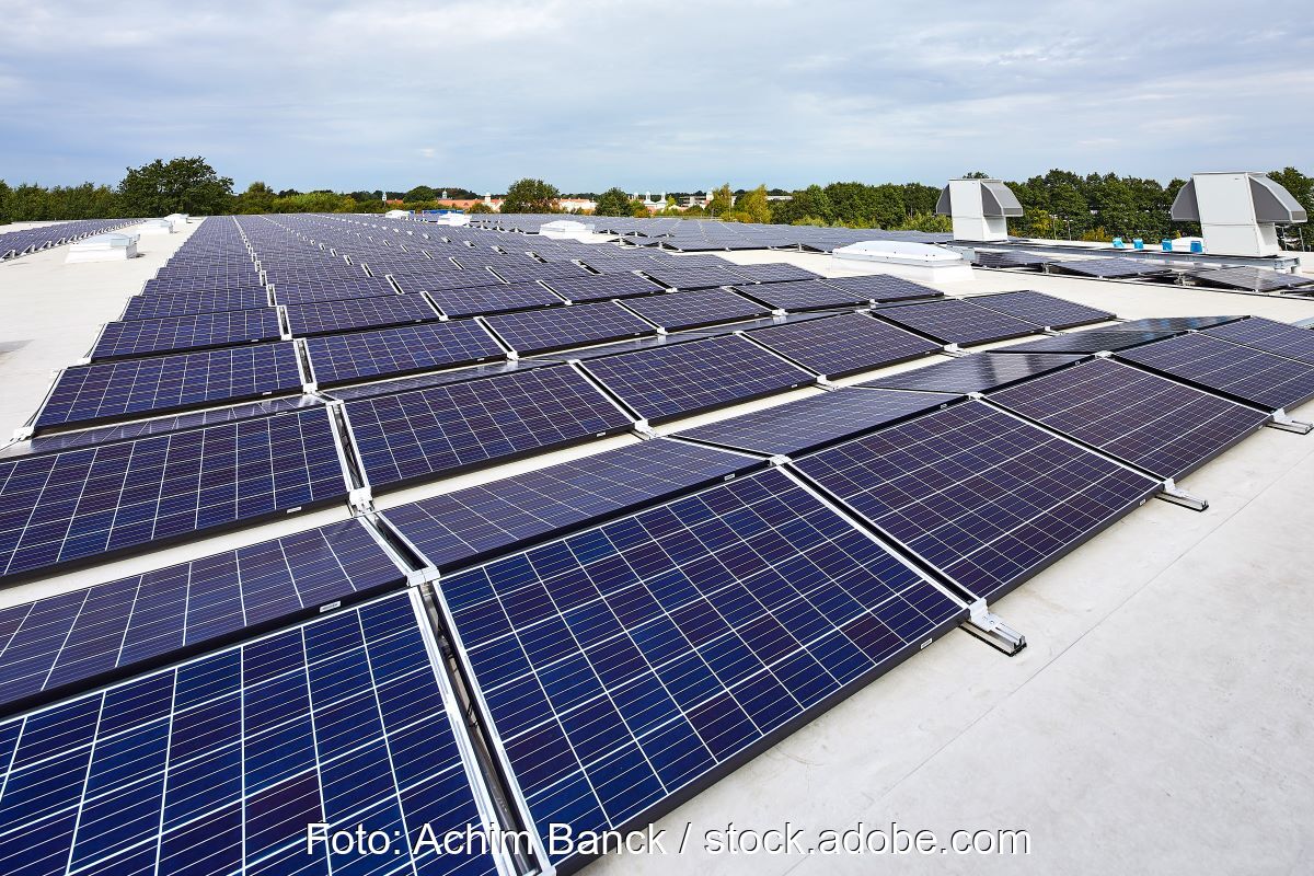 Photovoltaikmodule auf einem Flachdach.
