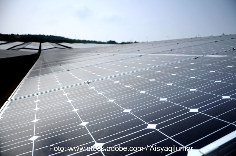 Photovoltaik-Modulreihen in einem Solarpark