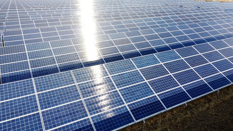 Freiflächensolaranlage mit reflektierendem Sonnenstrahl.