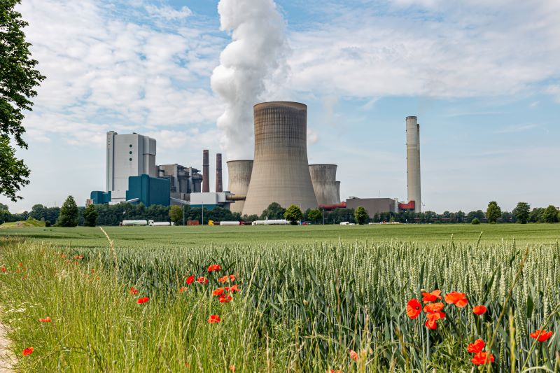 Ein Braunkohlekraftwerk emittiert Wasserdampf, davor eine Wiese mit Mohnblumen.
