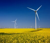 Windkraftanlagen bei blauem Himmel im Rapsfeld