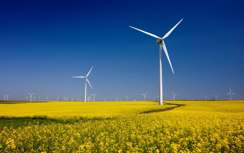 Windkraftanlagen bei blauem Himmel im Rapsfeld
