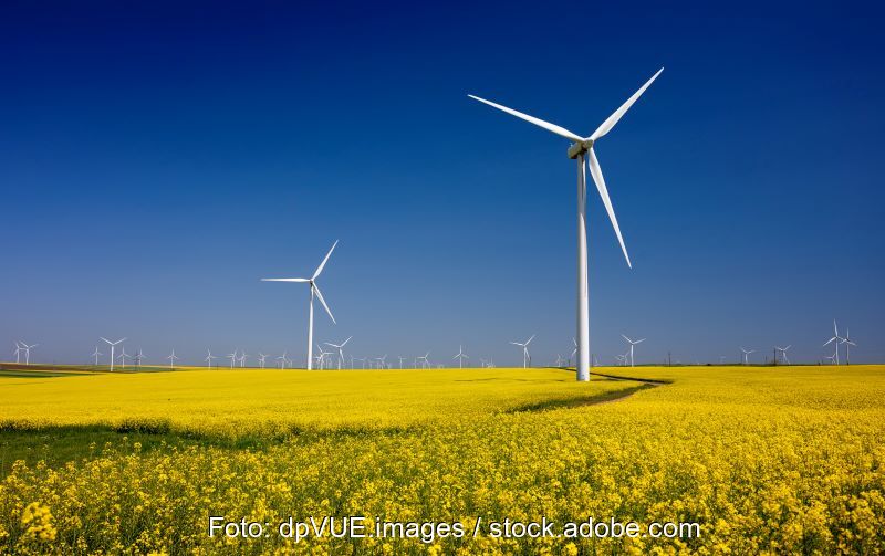 Windkraftanlagen bei blauem Himmel im Rapsfeld