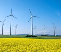 Windpark hinter Rapsfeld in hügeliger Landschaft unter blauem Himmel.