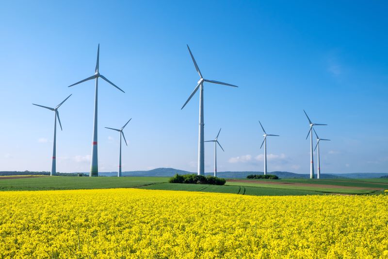 Windräder in blühenden Feldern unter blauem Himmel.